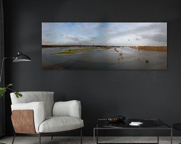 Panorama des Flusses IJssel am Ende des Winters von Ralph Jongejan