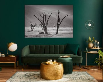 Deadvlei in Sossusvlei, Namibia by Patrick Groß