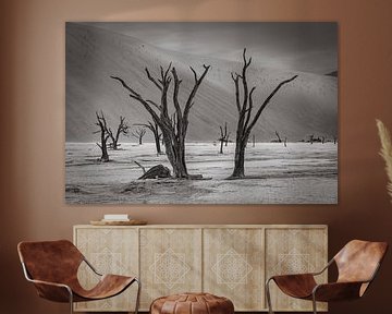 Deadvlei in Sossusvlei, Namibia by Patrick Groß