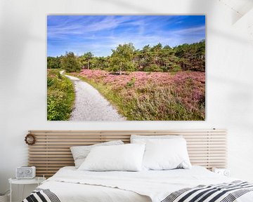 Schoorlse duinen met paarse heide en naaldbomen van eric van der eijk