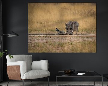 Wrattenzwijn in Etosha Nationaal Park, Namibië Afrika van Patrick Groß