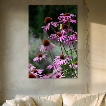 Summer-flowers