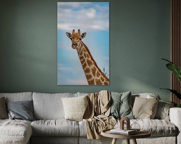 Grote Afrikaanse giraffe in Namibië, Afrika van Patrick Groß