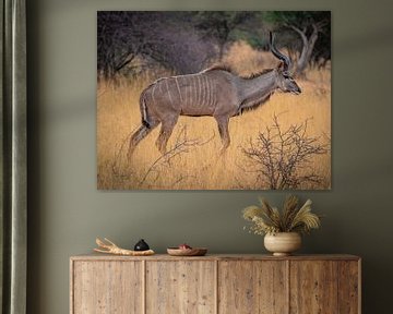 Male Kudu in Etosha National Park, Namibia Africa by Patrick Groß