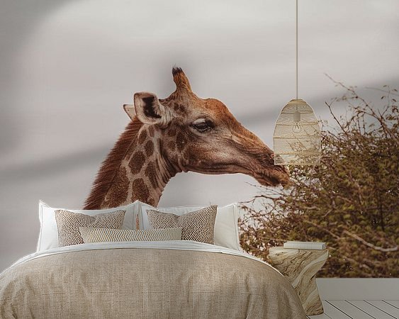 Raumvorschau