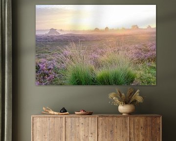 Sonnenaufgang in einer Heidelandschaft mit blühenden Heidekrautpflanzen von Sjoerd van der Wal Fotografie
