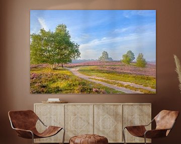 Chemin à travers un champ de bruyères en fleurs dans un paysage de landes sur Sjoerd van der Wal Photographie