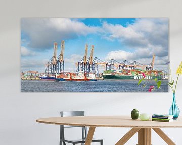 Container ships at the container terminal in the port of Rotterdam by Sjoerd van der Wal Photography