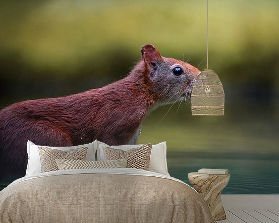 Aperçu de la chambre