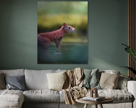 Aperçu de la chambre