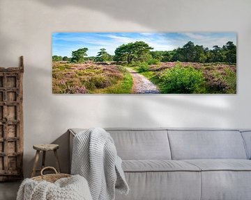 dune landscape in panorama Bergen Schoorl by eric van der eijk