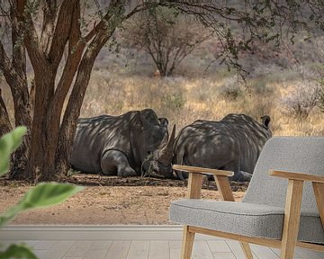 Neushoorn in Namibië, Afrika van Patrick Groß