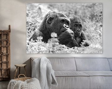 Gorilla moeder en kind