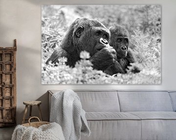 Gorilla mother and child