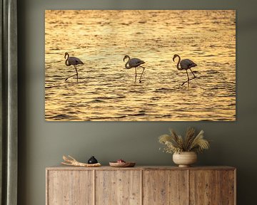 Flamingos bei Sonnenuntergang in Walvis Bay Namibia, Afrika von Patrick Groß