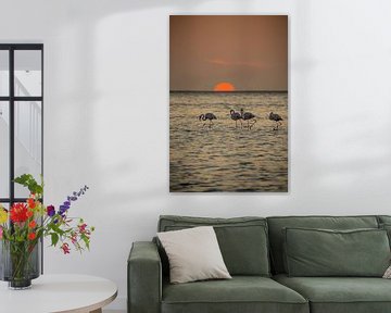 Flamingos bei Sonnenuntergang in Walvis Bay Namibia, Afrika von Patrick Groß