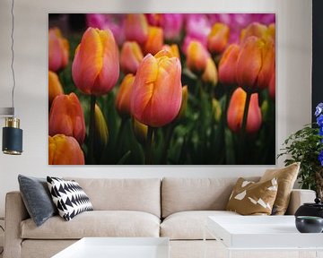 Feld mit gelbrosa Tulpen von Ineke Huizing