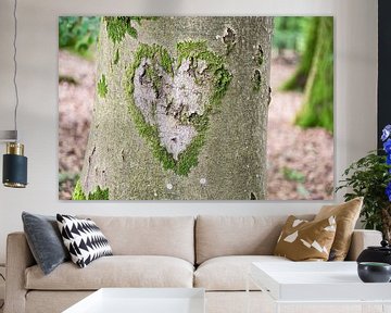 Love of nature (heart shape framed by moss on a tree trunk) by Birgitte Bergman