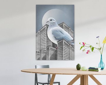 About Big Pigeons in Big Cities sur Marja van den Hurk