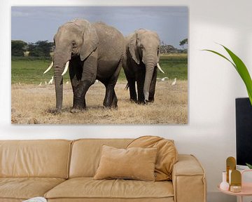 olifanten van Daisy Janssens