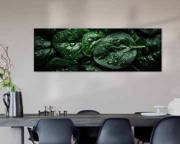 Panorama with fresh spinach by Studio XII