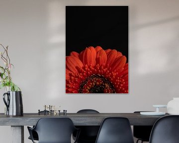 Blühende Verzauberung - Orangefarbene Gerbera von Sandra houben