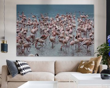 Flamingo's by Daisy Janssens
