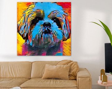 Shih Tzu von vmb switzerland