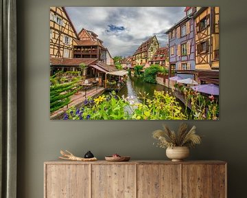 Colmar sur Antwan Janssen