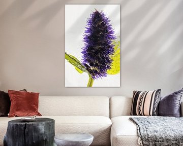 Agastache dans la glace 1 sur Marc Heiligenstein