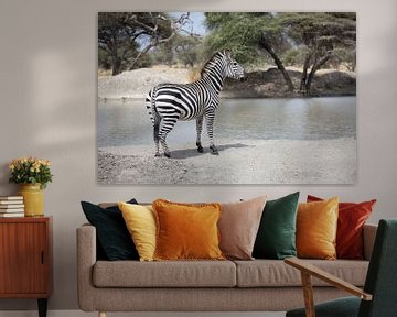 Zebra im Sand in der Nähe eines Wasserlochs in Tarangire, Tansania von Ruben Bleichrodt