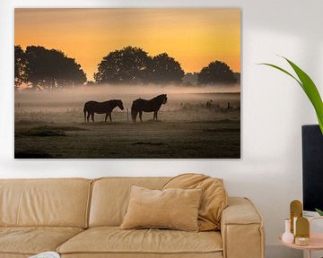ponies's in the fog von KB Design & Photography (Karen Brouwer)
