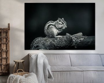 Sibirisches Erdhörnchen Porträt von Roy IJpelaar
