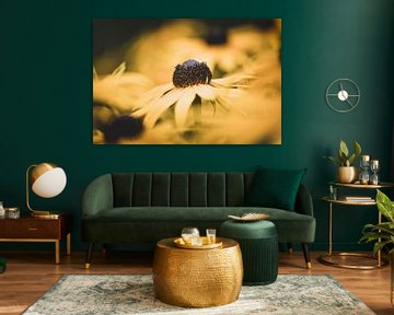 Rudbeckia in geel van Julia Strube - graphics