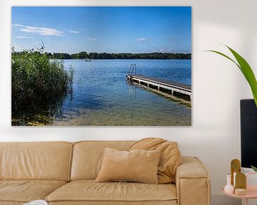 Steg und Schilf am Schaalsee im Sommer bei Lassahn von Rico Ködder