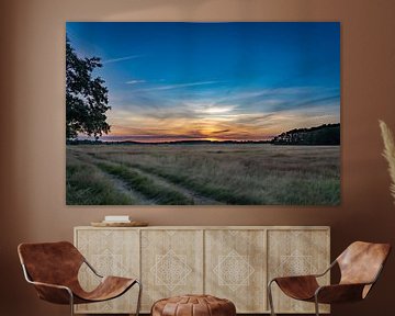 Eine Landschaft in Drenthe mit untergehender Sonne von Martijn Brink