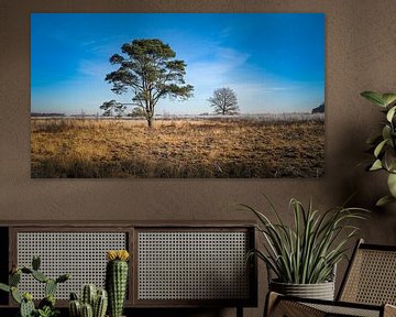 Het Drentse landschap nog vroeg in de lente van Martijn Brink