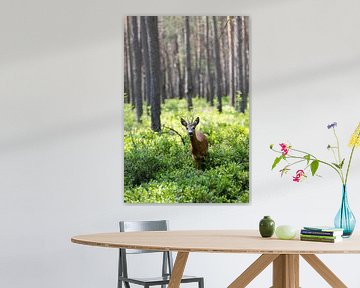 Neugierige Rehe im Wald. von Ben Hoedt