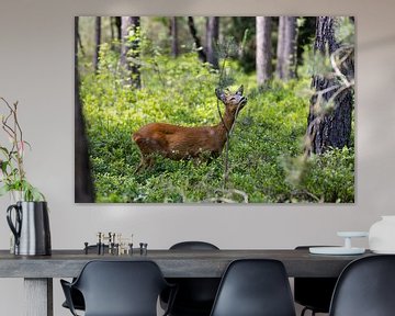 Ree in het bos aan het genieten. van Ben Hoedt