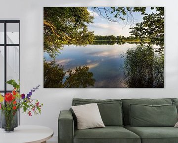 Vue sur le lac avec des arbres à Seedorf am Schaalsee sur Rico Ködder