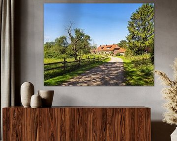 House with road and trees on the island of Kampenwerder in the Schaa