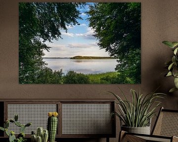 Seeblick mit Bäumen in Seedorf am Schaalsee von Rico Ködder