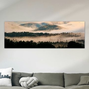 Bayerischer Wald im Nebel