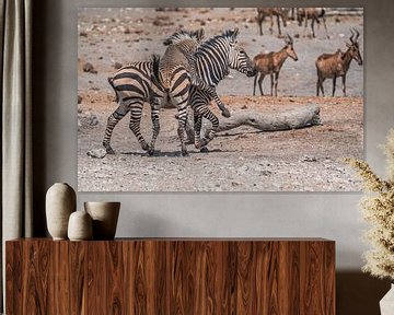 Zebra in het Etosha National Park in Namibië, Afrika van Patrick Groß
