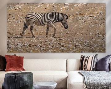 Afrikaanse zebra in Etosha National Park in Namibië, Afrika van Patrick Groß