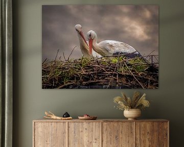 Ooievaars op het nest. van Hans Buls Photography