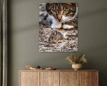 Cat and mouse game.