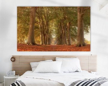 Oude laan in de herfst. van Hans Buls Photography