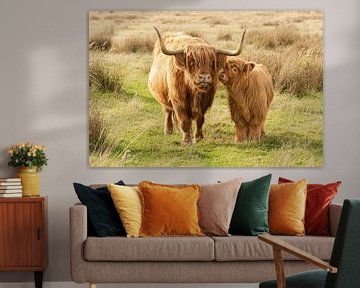 Highlander écossais avec veau, amour maternel, vache, vache des Highlands sur M. B. fotografie