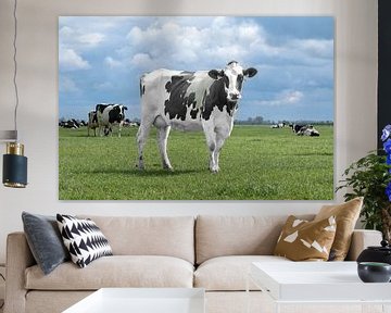 bonte koe, zwart wit, koeien, boerderij van M. B. fotografie